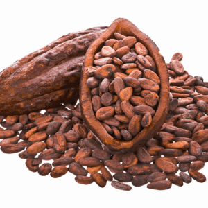 cacao bean