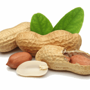 Peanut